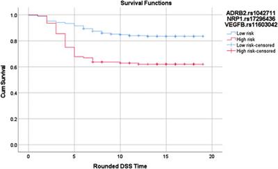 Examining SNP-SNP interactions and risk of clinical outcomes in colorectal cancer using multifactor dimensionality reduction based methods